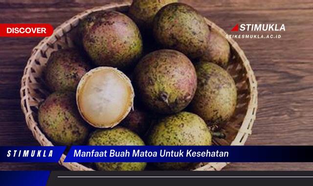 Ketahui 8 Manfaat Buah Matoa untuk Kesehatan Tubuh Anda Secara Lengkap