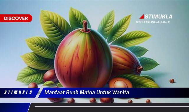 Ketahui 8 Manfaat Buah Matoa untuk Wanita, Meningkatkan Kesehatan dan Kecantikan Secara Alami Ketahui 8 Manfaat Buah Matoa untuk Wanita, Meningkatkan Kesehatan dan Kecantikan Secara Alami