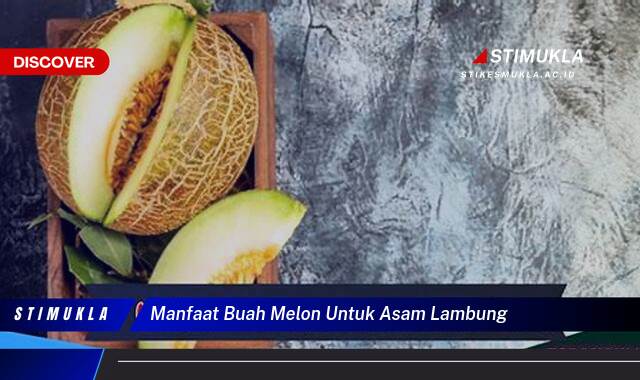 Ketahui 9 Manfaat Buah Melon untuk Asam Lambung, Redakan Gejala dan Cegah Kambuh