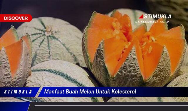 Ketahui 9 Manfaat Buah Melon Untuk Kolesterol, Kendalikan Kadar Kolesterol Anda Secara Alami