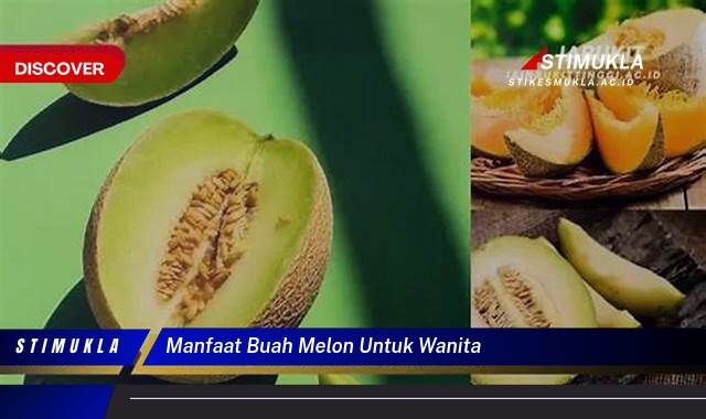 Ketahui 8 Manfaat Buah Melon untuk Wanita, Kesehatan, Kecantikan, dan Kehamilan