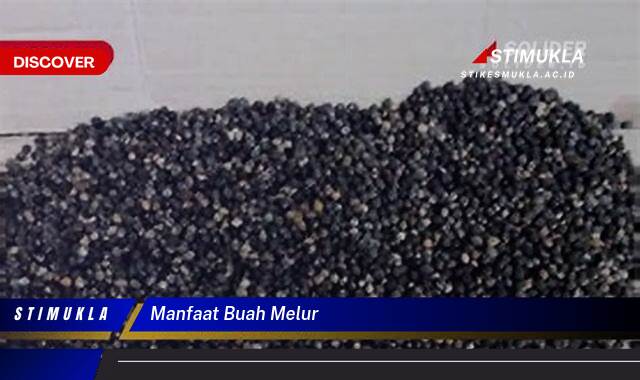 10 Manfaat Buah Melur untuk Kesehatan Tubuh Anda