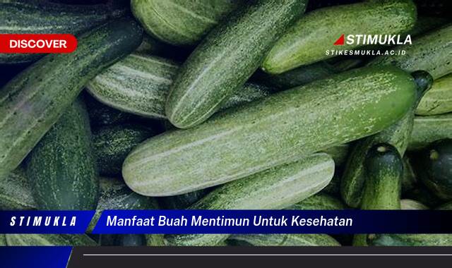 Temukan 8 Manfaat Buah Mentimun untuk Kesehatan Tubuh dan Kulit