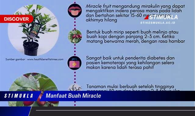 9 Manfaat Buah Miracle Atasi Diabetes, Kolesterol, dan Hipertensi