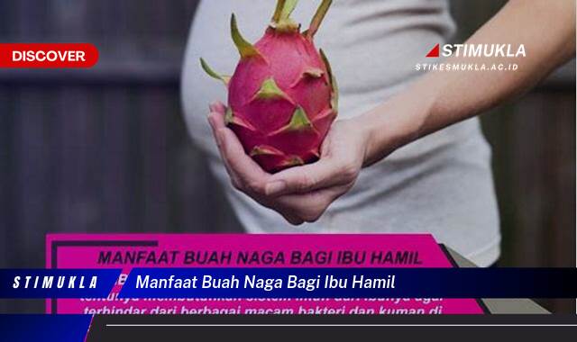 Temukan 8 Manfaat Buah Naga Bagi Ibu Hamil, Kesehatan, Janin, & Kecantikan