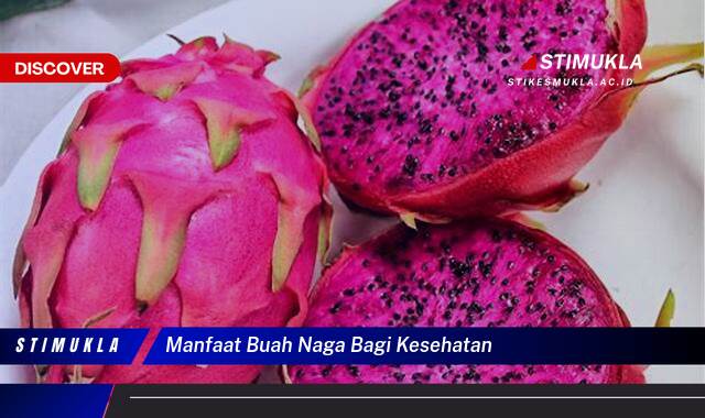 Ketahui 8 Manfaat Buah Naga Bagi Kesehatan Tubuh Anda Secara Lengkap