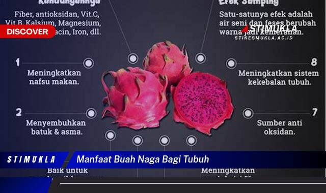 9 Manfaat manfaat buah naga bagi tubuh untuk kesehatan optimal