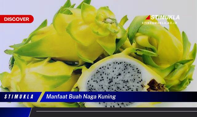 Inilah 9 Manfaat Buah Naga Kuning untuk Kesehatan dan Kecantikan Kulit Anda