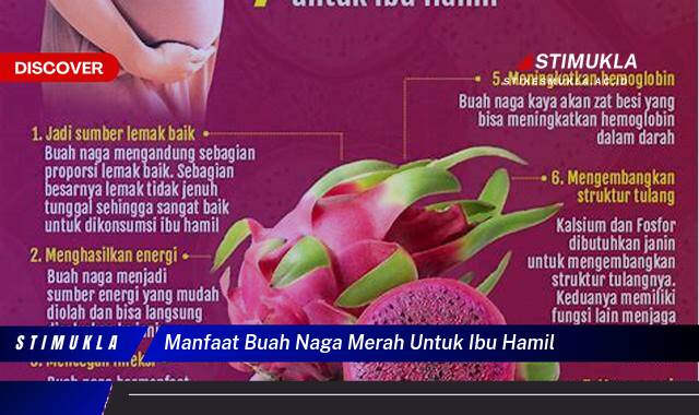 Ketahui 10 Manfaat Buah Naga Merah untuk Ibu Hamil, Kesehatan, Janin, & Imunitas Ketahui 10 Manfaat Buah Naga Merah untuk Ibu Hamil, Kesehatan, Janin, & Imunitas
