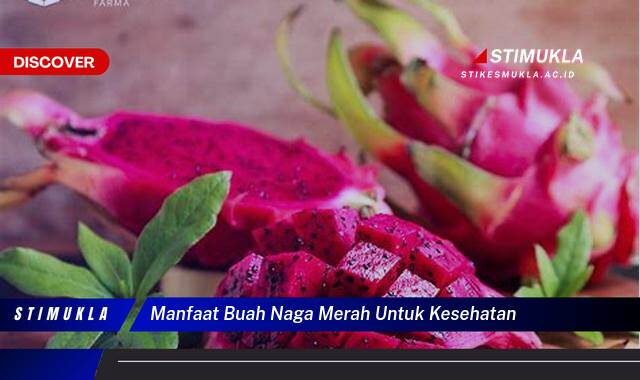 8 Manfaat Buah Naga Merah untuk Kesehatan Jantung, Kulit, dan Daya Tahan Tubuh