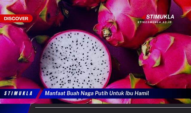 Temukan 8 Manfaat Buah Naga Putih untuk Ibu Hamil, Kesehatan Janin dan Ibu