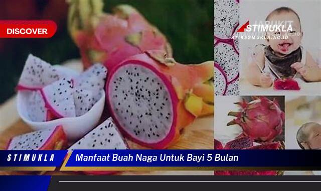 10 Manfaat manfaat buah naga untuk bayi 5 bulan, Nutrisi Penting!