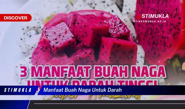 Inilah 9 Manfaat Buah Naga Untuk Darah, Meningkatkan Kesehatan Tubuh Anda