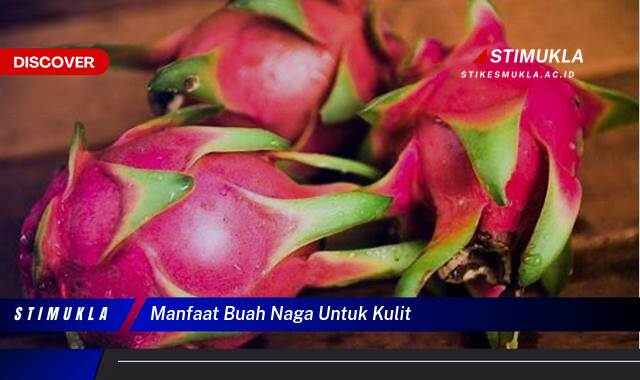 8 Manfaat Buah Naga Untuk Kulit Cantik Alami Berseri