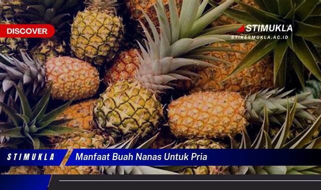 Ketahui 8 Manfaat Buah Nanas untuk Kesehatan Pria, Meningkatkan Stamina, Imunitas, dan Lainnya