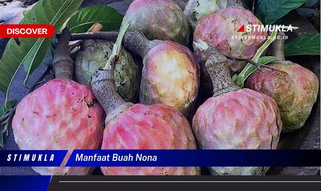 8 Manfaat Buah Nona untuk Kesehatan Tubuh Anda