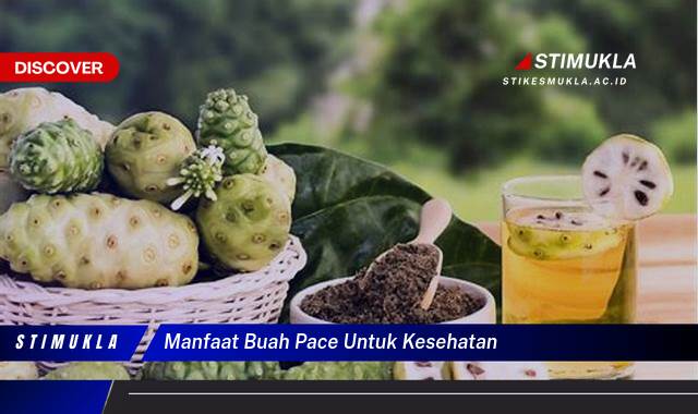 Temukan 9 Manfaat Buah Pace untuk Kesehatan Tubuh yang Mengejutkan