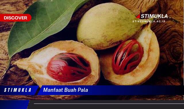 Ketahui 8 Manfaat Buah Pala untuk Kesehatan Tubuh Anda Ketahui 8 Manfaat Buah Pala untuk Kesehatan Tubuh Anda