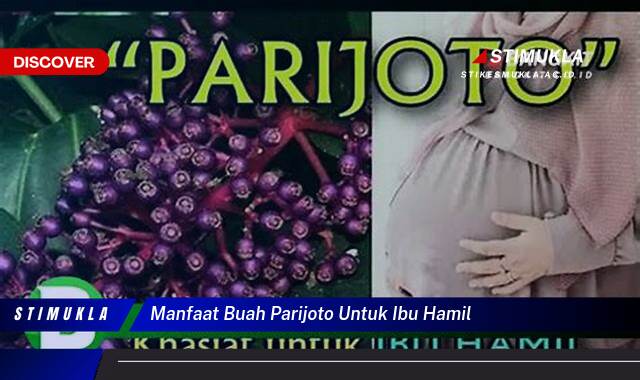 Temukan 8 Manfaat Buah Parijoto untuk Ibu Hamil, Kesuburan, Janin Sehat