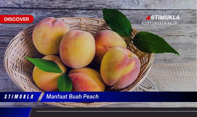 Ketahui 9 Manfaat Buah Peach untuk Kesehatan Tubuh Anda Ketahui 9 Manfaat Buah Peach untuk Kesehatan Tubuh Anda