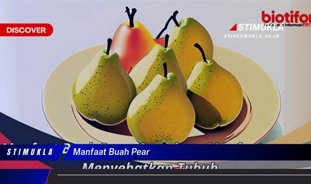 Ketahui 8 Manfaat Buah Pear untuk Kesehatan Tubuh Anda Ketahui 8 Manfaat Buah Pear untuk Kesehatan Tubuh Anda