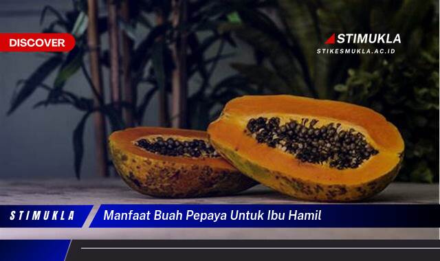 Ketahui 9 Manfaat Buah Pepaya untuk Ibu Hamil, Nutrisi Penting dan Tips Aman Konsumsi Ketahui 9 Manfaat Buah Pepaya untuk Ibu Hamil, Nutrisi Penting dan Tips Aman Konsumsi