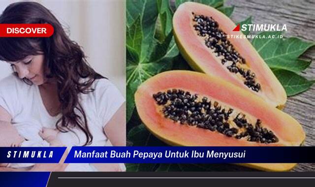 Ketahui 9 Manfaat Buah Pepaya untuk Ibu Menyusui, ASI Booster, Pencernaan Lancar & Imunitas Tinggi