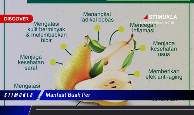 Inilah 10 Manfaat Buah Per untuk Kesehatan Tubuh Anda