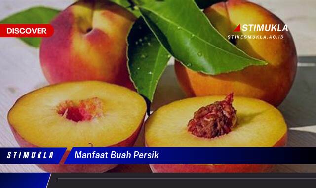 Ketahui 10 Manfaat Buah Persik untuk Kesehatan Anda yang Menakjubkan