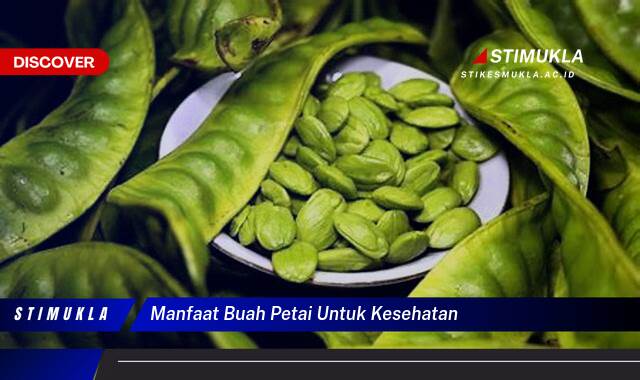 Inilah 9 Manfaat Buah Petai untuk Kesehatan yang Mengejutkan Anda