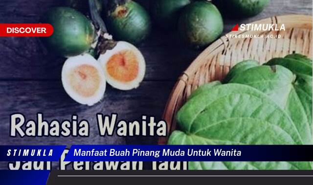 Ketahui 10 Manfaat Buah Pinang Muda untuk Kecantikan Wanita, Kulit Cerah, Rambut Berkilau, dan Gigi Lebih Putih Ketahui 10 Manfaat Buah Pinang Muda untuk Kecantikan Wanita, Kulit Cerah, Rambut Berkilau, dan Gigi Lebih Putih