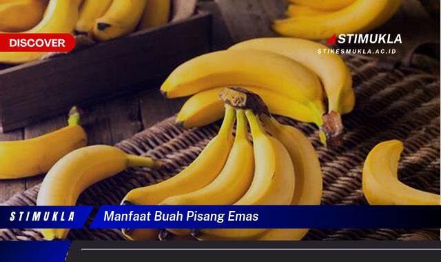 Temukan 10 Manfaat Buah Pisang Emas untuk Kesehatan dan Kecantikan