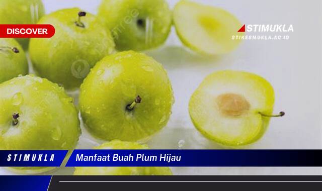 Temukan 8 Manfaat Buah Plum Hijau untuk Kesehatan dan Kecantikan Anda