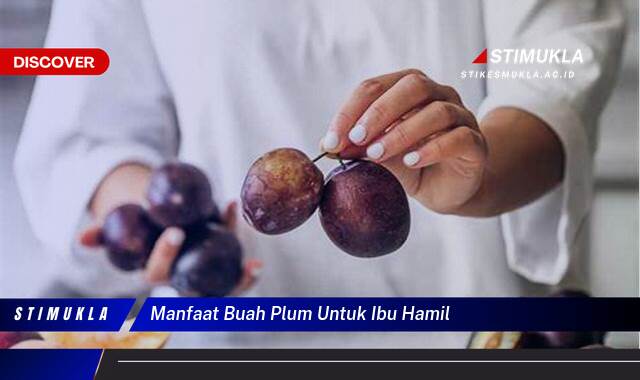 Ketahui 8 Manfaat Buah Plum untuk Ibu Hamil, Cegah Sembelit & Tingkatkan Imunitas