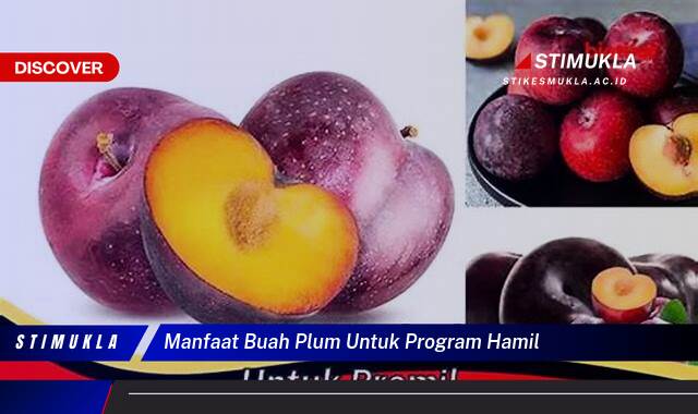 Inilah 8 Manfaat Buah Plum untuk Program Hamil, Kesuburan, Hormon & Kehamilan