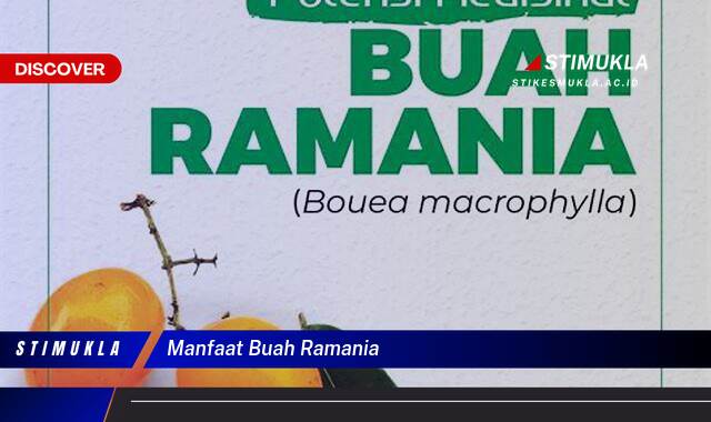 10 Manfaat manfaat buah ramania Ungkap Khasiat Alami Dahsyat