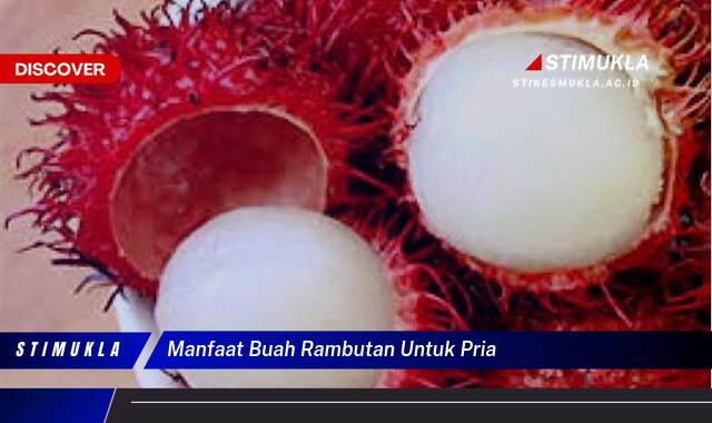 Temukan 10 Manfaat Buah Rambutan Untuk Pria, Stamina, Vitalitas, Kesehatan