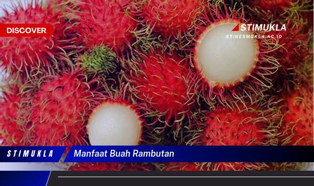 Ketahui 10 Manfaat Buah Rambutan untuk Kesehatan dan Kecantikan Ketahui 10 Manfaat Buah Rambutan untuk Kesehatan dan Kecantikan