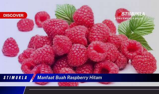 Ketahui 9 Manfaat Buah Raspberry Hitam untuk Kesehatan Tubuh