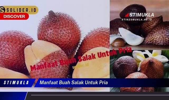 Ketahui 8 Manfaat Buah Salak untuk Kesehatan Pria, Meningkatkan Stamina dan Vitalitas