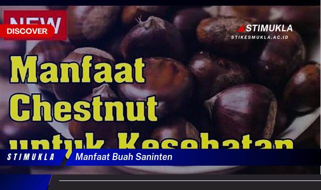 9 Manfaat Buah Saninten untuk Kesehatan dan Kecantikan Anda