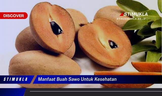 Ketahui 9 Manfaat Buah Sawo untuk Kesehatan Tubuh Anda Secara Lengkap Ketahui 9 Manfaat Buah Sawo untuk Kesehatan Tubuh Anda Secara Lengkap