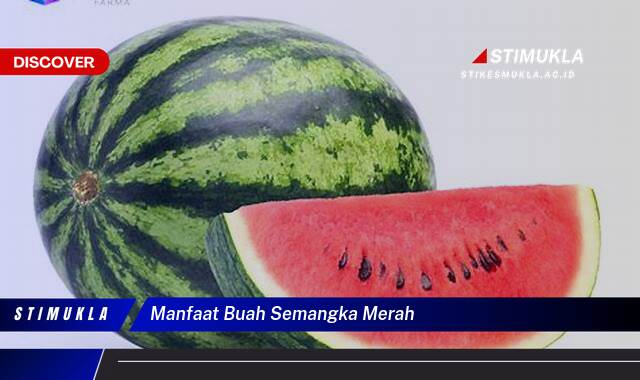 8 Manfaat Manfaat Buah Semangka Merah Temukan Fakta Pentingnya