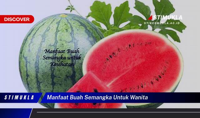 Ketahui 10 Manfaat Buah Semangka untuk Wanita, Meningkatkan Kesehatan & Kecantikan Ketahui 10 Manfaat Buah Semangka untuk Wanita, Meningkatkan Kesehatan & Kecantikan