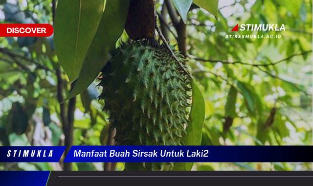 Ketahui 8 Manfaat Buah Sirsak untuk Kesehatan Pria, Meningkatkan Stamina dan Vitalitas Ketahui 8 Manfaat Buah Sirsak untuk Kesehatan Pria, Meningkatkan Stamina dan Vitalitas