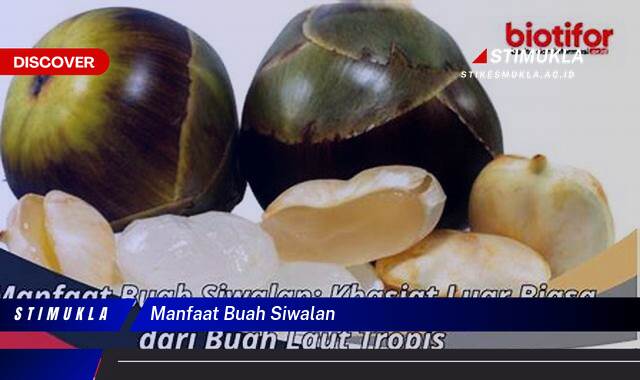 Ketahui 8 Manfaat Buah Siwalan untuk Kesehatan, Kecantikan, dan Lainnya Ketahui 8 Manfaat Buah Siwalan untuk Kesehatan, Kecantikan, dan Lainnya