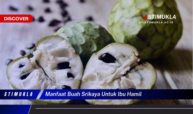 8 Manfaat Buah Srikaya untuk Ibu Hamil, Kesehatan Janin dan Bumil