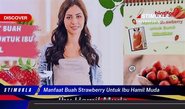 Ketahui 10 Manfaat Buah Strawberry Untuk Ibu Hamil Muda, Janin Sehat dan Ibu Bahagia Ketahui 10 Manfaat Buah Strawberry Untuk Ibu Hamil Muda, Janin Sehat dan Ibu Bahagia
