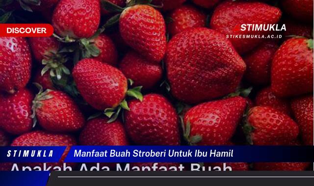 Temukan 9 Manfaat Buah Stroberi untuk Ibu Hamil,  Mencegah Cacat Janin, Meningkatkan Imunitas, dan Menjaga Kesehatan