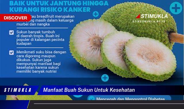 10 Manfaat Buah Sukun untuk Kesehatan Mencegah Penyakit Kronis